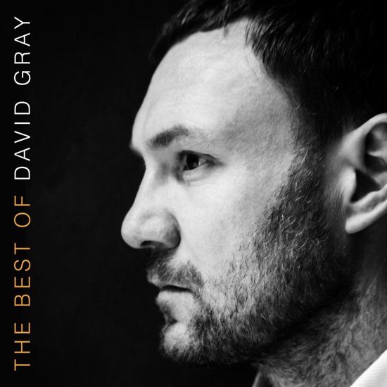 David Gray - Best Of.. - Gatefold