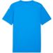 Puma Maillot Team Final Graphic