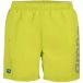 Arena Zwemshort Fundamentals Logo R