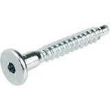 Häfele Raccord en une pièce Confirmat tête cylindrique pour Ø de perçage 5 mm acier avec six pans creux SW4 galv.