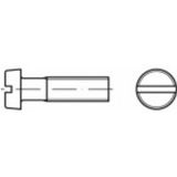 TOOLCRAFT TO-5358678 Cilinderkopschroeven M1.2 3 mm Sleuf RVS A2 2000 stuk(s)