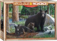 Eurographics Puzzel Legpuzzel New Discoveries Daniel 1000 Stukjes