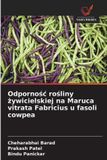 Odporno¿¿ OmniScriptum SRL Odpornośc rośliny żywicielskiej na Maruca vitrata Fabricius u fasoli cowpea