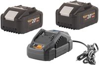 Procraft Starter Pack 20 V 20/2,4 A oplader + 2x 20/8 accu 8,0 Ah