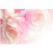 Roses Papier Peint Panoramique - 195 cm x 130 cm
