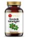 Yango Canada Bitterroot 90 Capsules