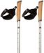 Ferrino Step In Stokken Grijs 85-135 cm