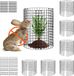 Vevor Set van 6 Plantbeschermingen Tegen Dieren φ 320x355mm Metalen Plantenkooi
