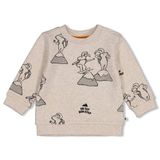Feetje sweater Mountain Top - ecru/grijs