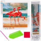 Diamantmozaïek Diamantverfset Flamant rose Oiseaux 5D