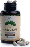 Zeinpharma Ginkgo Biloba 100mg 120 gélules