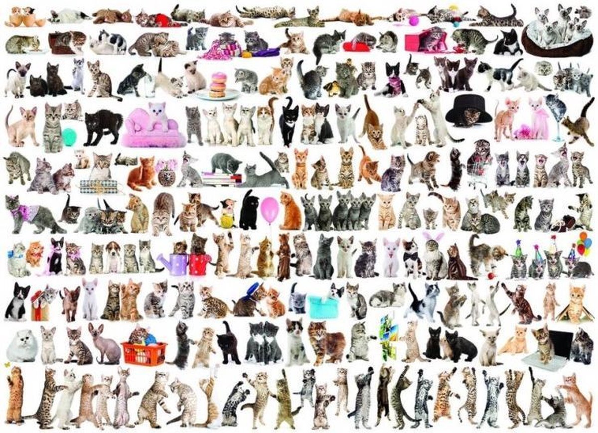 Eurographics puzzel The world of cats 2000 stukjes