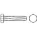 TOOLCRAFT 141686 Vis de taraudage M6 25 mm Tête hexagonale extérieure DIN 7513 Acier Zingué par galvanisation 500 pièce(s)