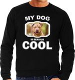 Bellatio Decorations Staffordshire bull terrier honden trui / sweater my dog is serious cool zwart - heren - S