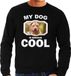 Bellatio Decorations Staffordshire bull terrier honden trui / sweater my dog is serious cool zwart - heren - S