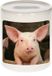 Bellatio Decorations Bol Dieren varken foto spaarpot 9 cm jongens en meisjes - Cadeau spaarpotten varkens liefhebber