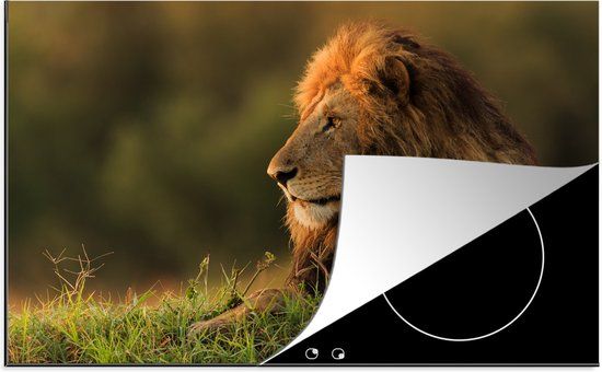 KitchenYeah® Inductie beschermer 77x51 cm - Zonsopkomst - Leeuw - Gras - Inductie kookplaat accessoire