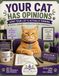 Your Cat Has Opinions: A Sarcastic Activity and Puzzle Book for People Who Know Their Cat Is Judging Them
