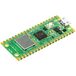 Raspberry Pi Pico W - 133 MHz - 264KB SRAM - Inclusief WiFi, zonder headers