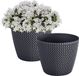 Prosperplast Plantenpot/bloempot Splofy - 2x - antraciet - kunststof - D13 x H11 cm