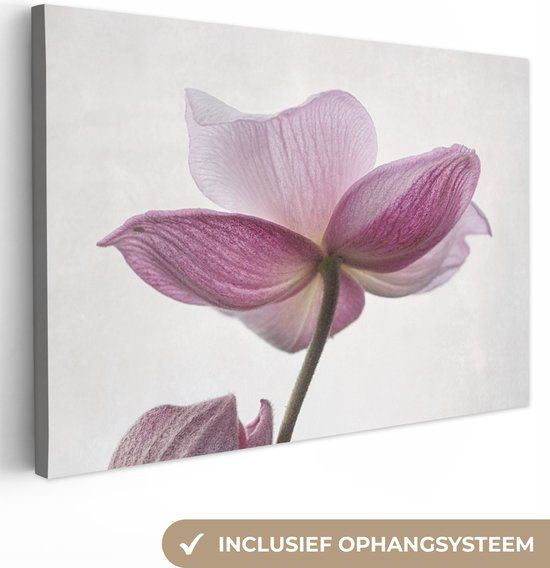 OneMillionCanvasses Canvas Schilderij - Bloemen Roze Botanisch - 90x60 cm