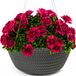 Unyqoos® Stijlvolle hangende plantenpot met gevlochten ontwerp voor binnen en buiten