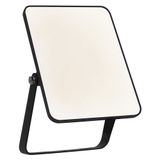 Ledvance LED buitenlamp Flood Essential, 20 Watt, zwart