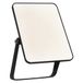Ledvance LED buitenlamp Flood Essential, 20 Watt, zwart