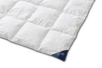 Auping Dekbed Nest lente/herfst 240 x 220 cm - Ganzendons