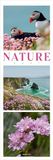 Nature Triplet-Kalender 2027: Stilvoller Natur-Kalender im schlanken Hochformat (33x100 cm) | Triplet-Fotografie im Premium-Format