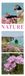 Nature Triplet-Kalender 2027: Stilvoller Natur-Kalender im schlanken Hochformat (33x100 cm) | Triplet-Fotografie im Premium-Format