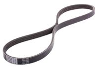 JAPANPARTS JPDV-4PK0830 V-riem