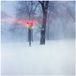 Konkurrent Express Rising - Fixed Rope (LP)