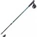 Masters MA Nordic Training Walking Pole