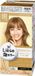 Liese Mousse Colorante - Milk Tea Brown