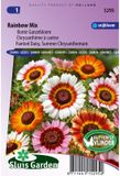 Sluis Garden Margriet Rainbow Mixed (Bonte Ganzebloem)
