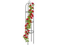 Merkloos / Sans marque Relaxdays plantensteun - 190 cm - met 3 ringen - klimplanten - metaal - vrijstaand