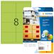 HERMA 5147 neonetiketten A4, set van 32 (99,1 x 67,7 mm, 640 vellen, papier, mat) zelfklevend, bedrukbaar, permanente klevende gekleurde etiketten, 5.120 etiketten voor printer, neon groen
