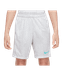 Nike Academy Plus enfants gris F025
