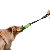 DINGO Teether Agility Bungee Onderwijs Speelgoed, 8 x 27 cm, Groen