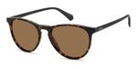 Polaroid PLD 4152/S Havana Zonnebril Dames