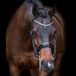 Imperial Riding Hoofdstellen Olympia Trens Leer Zwart/Grijs Pony