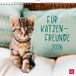 Wandkalender Groh Verlag Wandkalender 2026: Für Katzenfreunde