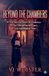 Beyond VJ WEBSTER Beyond the Chambers Paperback