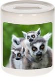 Bellatio Decorations Bol Dieren maki foto spaarpot 9 cm jongens en meisjes - Cadeau spaarpotten maki apen / ringstaartmaki liefhebber