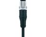 Escha 8047008 Connecteur capteur/actionneur, assemblé M12 Nombre de pôles : 12 Connecteur, droit 5,00 m