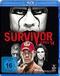 SURVIVOR SERIES 2014