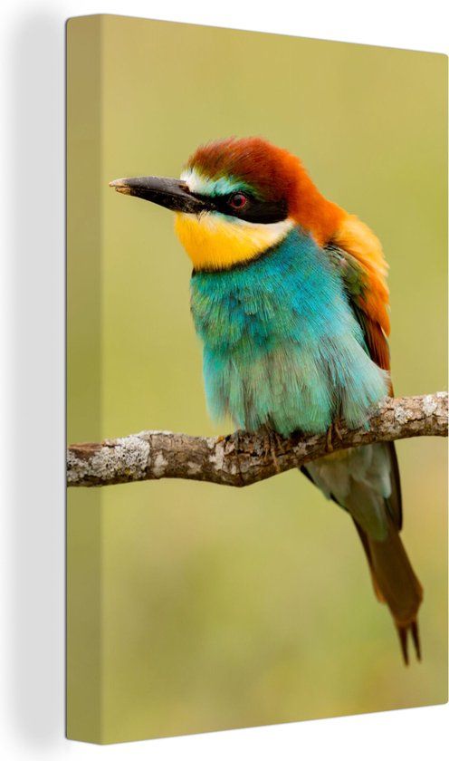 OneMillionCanvasses Canvas schilderij 120x180 cm Vogel - Bijeneter - Multicolor - Rechthoek - Modern