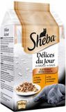 Sheba 12x Sheba Delices du Jour Multipack Gevogelte 6 x 50 gr