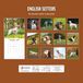 Red Robin English Setter Kalender 2027